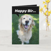 Grappig Golden Retriever, verstoord door eekhoorn Kaart (Gele Bloem)