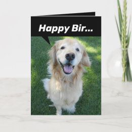 Grappig Golden Retriever, verstoord door eekhoorn Kaart