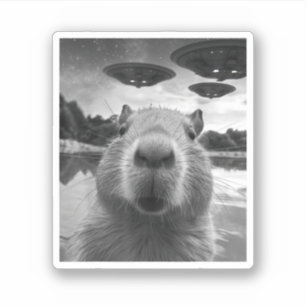 Grappig Graphic Capybara Selfie met UFO's Raar Sticker