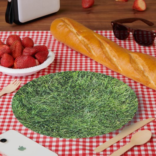 Grappig groen gras, echt fototextuurpatroon leuk papieren bordje (Picknick)