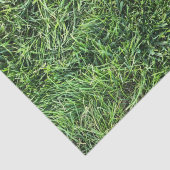 Grappig groen gras, echt fototextuurpatroon leuk tissuepapier (Detail)