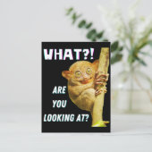 Grappig groots geoogste doelwit wat je ziet briefkaart (Staand voorkant)