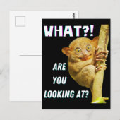 Grappig groots geoogste doelwit wat je ziet briefkaart (Voorkant / Achterkant)