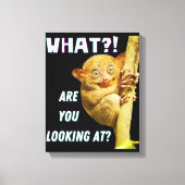 Grappig groots geoogste doelwit wat je ziet canvas afdruk (Voorkant)