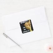 Grappig groots geoogste doelwit wat je ziet vierkante sticker (Envelop)