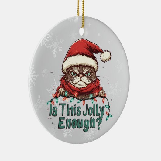 Grappig Grumpy Cat Christmas 2-zijdig Ornament (Rechts)