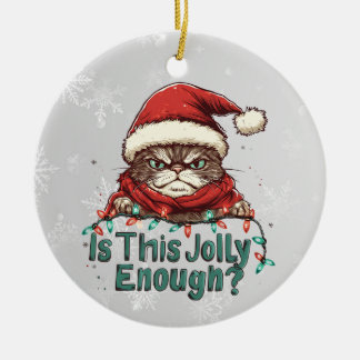 Grappig Grumpy Cat Christmas 2-zijdig Ornament