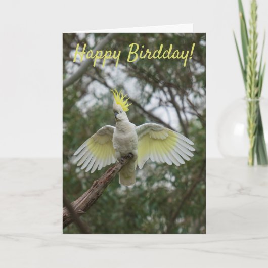 Grappig Happy Bird Day Birthday Cockato Australië Kaart (Voorkant)