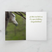 Grappig Happy Bird Day Birthday Cockato Australië Kaart (Binnen)