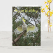 Grappig Happy Bird Day Birthday Cockato Australië Kaart (Gele Bloem)