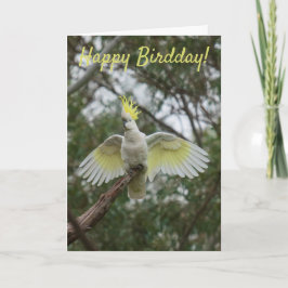Grappig Happy Bird Day Birthday Cockato Australië Kaart