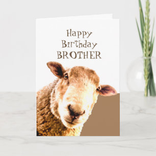 Grappig Happy Birthday Ewe zijn BESTE BROTHER OOIT Kaart