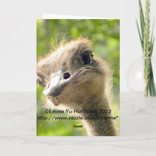 Grappig Happy Birthday Kaart l Struisvogelfotograf (Achterkant)