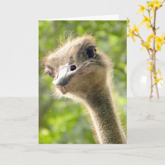 Grappig Happy Birthday Kaart l Struisvogelfotograf (Gele Bloem)