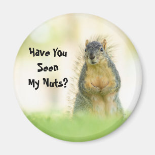 Grappig, heb je mijn Nuts Squirrel Magnet gezien?