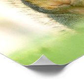 Grappig, heb je mijn Poster op de noppen gezien? (Hoek)