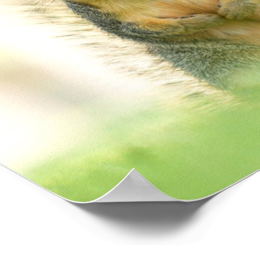 Grappig, heb je mijn Poster op de noppen gezien? (Hoek)