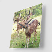 Grappig hert dat je kijkt vierkante klok (Hoek)