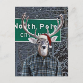 Grappig hert met kerstmuts op de Noordpool Feestdagenkaart