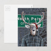 Grappig hert met kerstmuts op de Noordpool Feestdagenkaart (Voorkant / Achterkant)