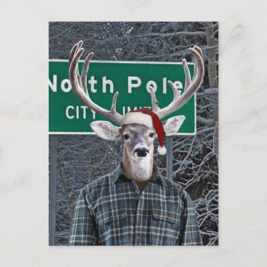 Grappig hert met kerstmuts op de Noordpool Feestdagenkaart (Voorkant)