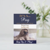Grappig "Het is een" nieuwkondiging van het Pet Briefkaart (Staand voorkant)