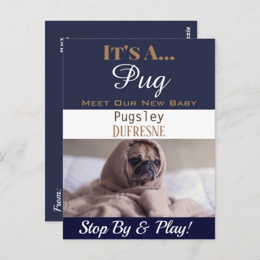 Grappig "Het is een" nieuwkondiging van het Pet Briefkaart (Voorkant / Achterkant)