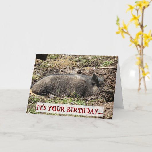 Grappig, het is je verjaardag Go Hog Wild Kaart (Gele Bloem)