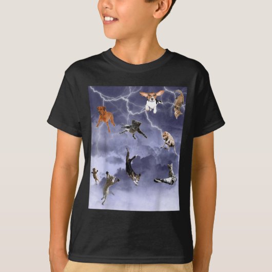 Grappig Het Regent Honden En Katten T-shirt (Voorkant)