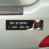 Grappig Hoe Rijd Ik Bumpersticker (Op auto)
