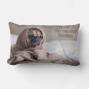 Grappig Hond gooi kussen