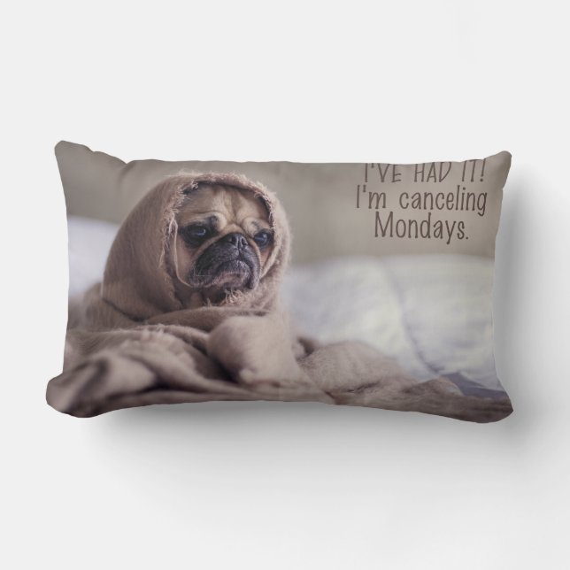 Grappig Hond gooi kussen (Voorkant)