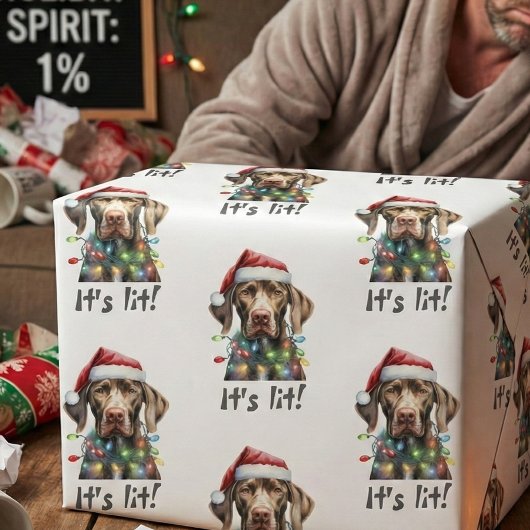 Grappig honden kerst inpakpapier – Lichtslingers