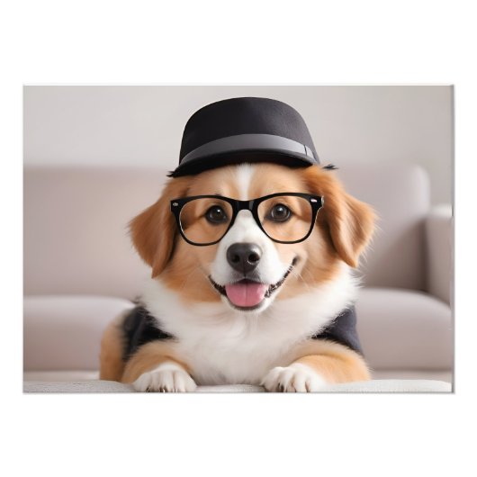 Grappig hondje met bril en pet foto afdruk (Voorkant)