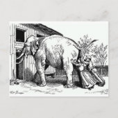 Grappig - hopeloos, past niet op olifant briefkaart (Voorkant)