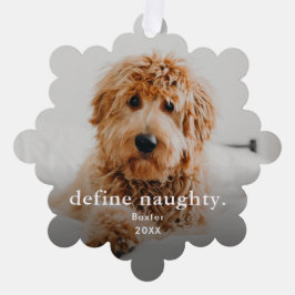 Grappig huisdier 2 foto kerstvakantie ornament kaart