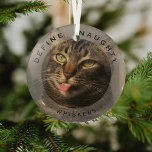 Grappig huisdier Definieer stoute kerst fotoglas Glas Ornament<br><div class="desc">Funny Pet Photo Christmas Glass Ornament. Ontwerpkenmerken,  een afbeelding van je hond of kat,  een overlay,  de tekst 'DEFINITION NAUGHTY' en de naam van het huisdier. Maakt een prachtig aandenken cadeau.</div>