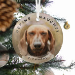 Grappig huisdier Definieer stoute kerst fotoglas Glas Ornament<br><div class="desc">Funny Pet Photo Christmas Glass Ornament. Ontwerpkenmerken,  een afbeelding van je hond of kat,  een overlay,  de tekst 'DEFINITION NAUGHTY' en de naam van het huisdier. Maakt een prachtig aandenken cadeau.</div>