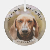 Grappig huisdier Definieer stoute kerst fotoglas Glas Ornament (Voorkant)