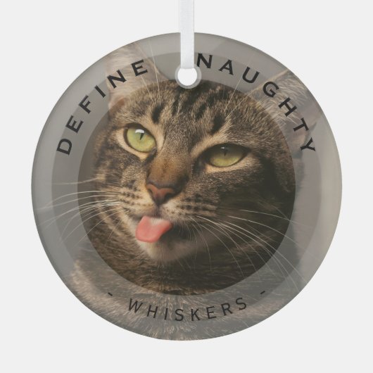 Grappig huisdier Definieer stoute kerst fotoglas Glas Ornament (Voorkant)