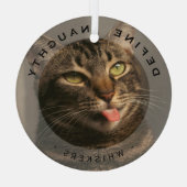 Grappig huisdier Definieer stoute kerst fotoglas Glas Ornament (Achterkant)