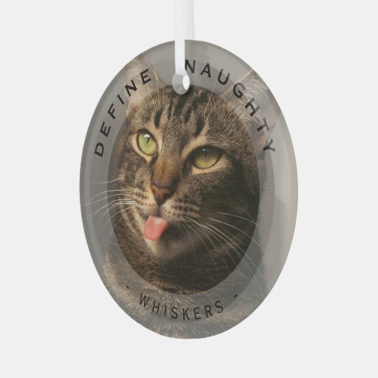 Grappig huisdier Definieer stoute kerst fotoglas Glas Ornament (Voorkant links)