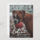 Grappig huisdier definiëren ondeugende Kerstmis Feestdagenkaart (Voorkant)