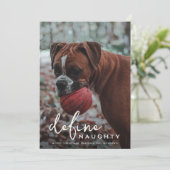 Grappig huisdier definiëren ondeugende Kerstmis Feestdagenkaart (Staand voorkant)