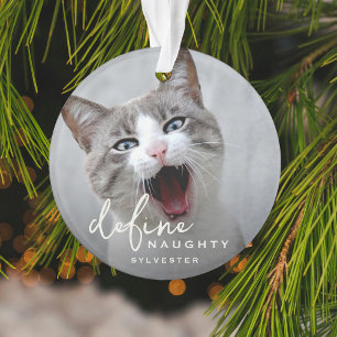 Grappig huisdier definiëren ondeugende Kerstmis Ornament