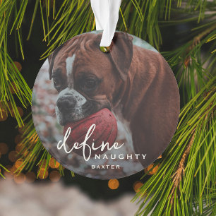Grappig huisdier definiëren ondeugende Kerstmis Ornament