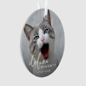 Grappig huisdier definiëren ondeugende Kerstmis Ornament (voorkant)