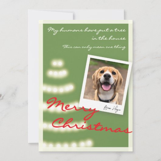 Grappig Huisdier Kerstfoto Flat Holiday Kaart (Voorkant)