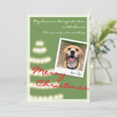 Grappig Huisdier Kerstfoto Flat Holiday Kaart (Staand voorkant)