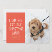 Grappig huiskoraalperzik Nieuwjaarsfoto Feestdagenkaart (Voorkant)